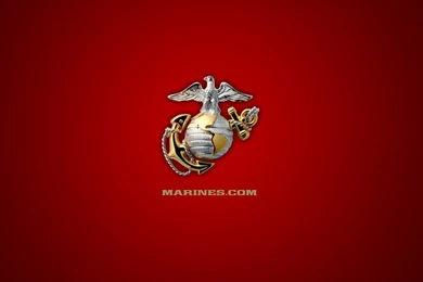 Wallpapers Marine Corps States Iphone Usmc Desert Camo 1024x768 ...