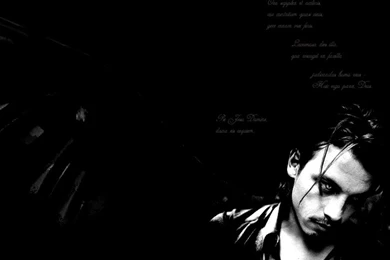 Qegooyqy: Young Johnny Depp Wallpapers