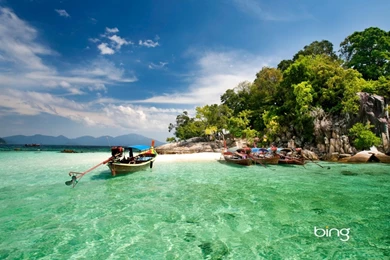 Bing Homepage Download