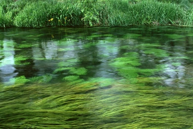 Desktop High Resolution Nature Wallpapers Dowload 3d Hd Pictures.