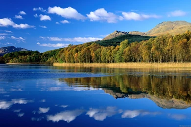 Cool desktop Wallpapers Nature   HD Widescreen Wallpapers