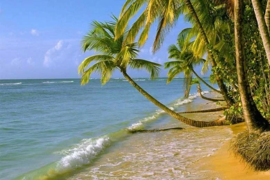 3D Nature Wallpapers For Desktop   HD Wallpapers Pretty