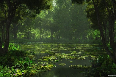 Wallpapers Of Nature For Desktop Backgrounds