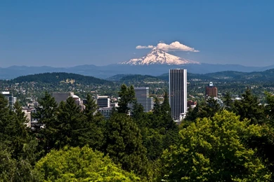 10 Best Cities For Urban Forests: Portland