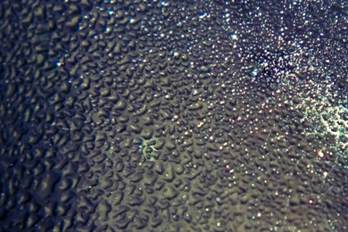 Water Drops 2 iPhone 5 Wallpapers