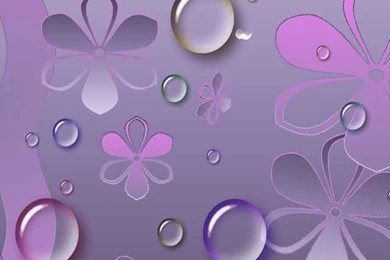 Purple Flowers & Water Drops iPhone Wallpapers