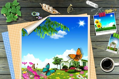 Bing Bing Wallpapers 22471   Desktop Wallpapers   System Wallpapers