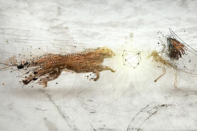 Digital Art : Amazing Surreal Nature Wallpapers (Vol.01) 1680x1050 ...