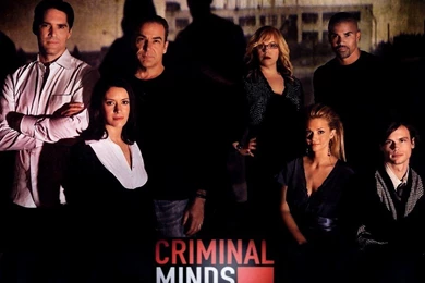 The Team   Criminal Minds Wallpapers (8383559)   Fanpop