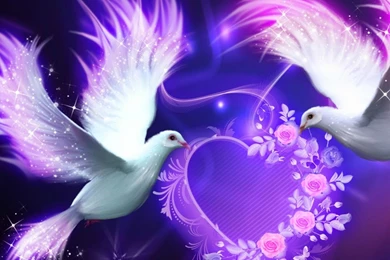 Beautiful Love Birds Nokia Lumia 520 Hd Wallpapers Love Wallpapers ...