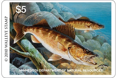 BWCA Walleye Stamp Boundary Waters Fishing Forum