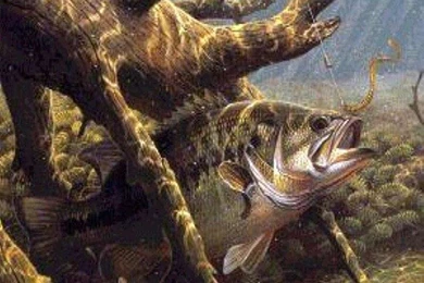 Dan's Fishin Hole   Desktop Themes Home Page