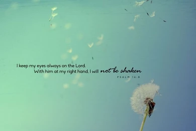 I Will Not Be Shaken