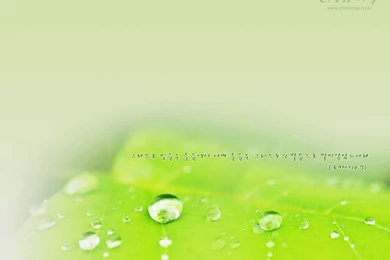 Wallpapers Crossmap Scenery With Bible Verses 1024x768