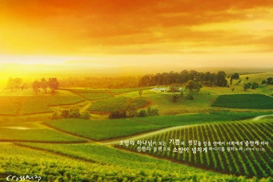 Wallpapers Crossmap .4 1024x768