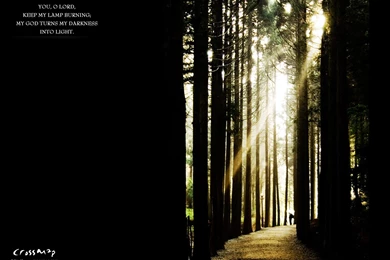 Light Of The World Wallpapers   Christian Wallpapers And Backgrounds