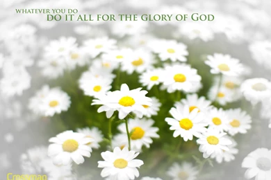 For The Glory Of God