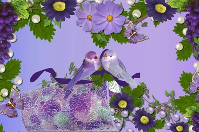 Beautiful Wallpapers Of Love Birds Wallpapers   1419362