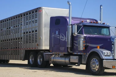 Wallpapers Trucking Vehicle Freightliner Classic Truck 1366x768 ...