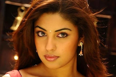 Richa Gangopadhyay Wallpapers (1024x768) : Indya101.com