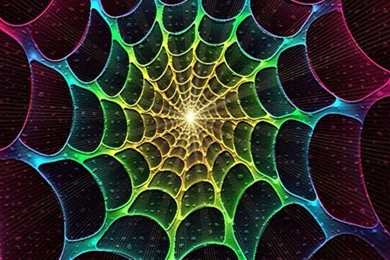 Colorful Spider Web Halloween Theme iPhone Wallpaper Backgrounds ...