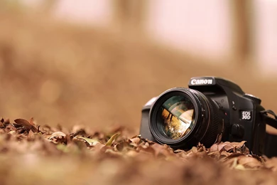 Image Photography Collection (43+)