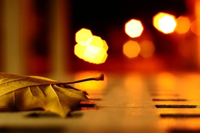 Bokeh Photography Wallpapers