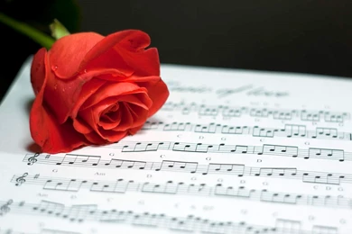 Music To Soul Music Love Wallpapers