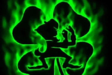 Fighting Irish On Pinterest