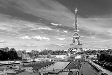 Paris Black And White
