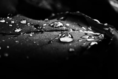 Free Diamond Backgrounds