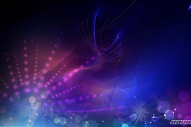 Free Wallpapers Download Nu Y92W NuHDWalpaper