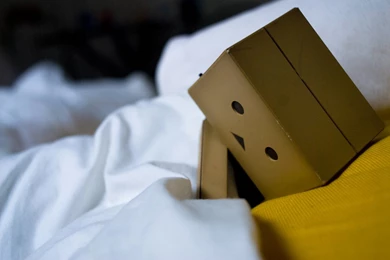 Bed Boxman Danbo Wallpapers   (