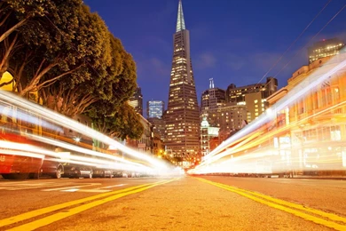 New York City Sunset – BUZZERG