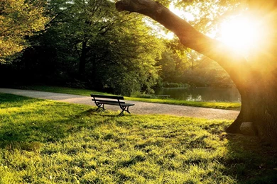 1920x1080 City Park Bench Sunset Wallpapers
