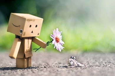 Box Man,Sad Box Man High Definition Wallpapers & Desktop ...