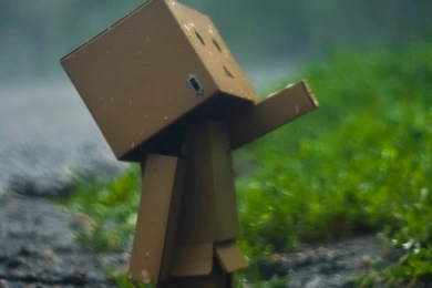 Danbo The Box Man