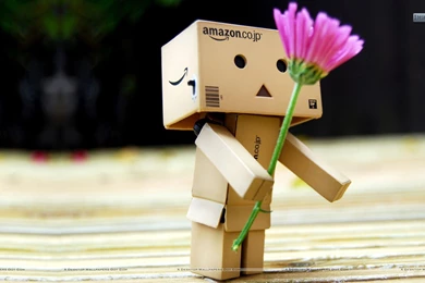 Wallpapers Miscellaneous Box Man X Thanks Giving 1920x1080 ...