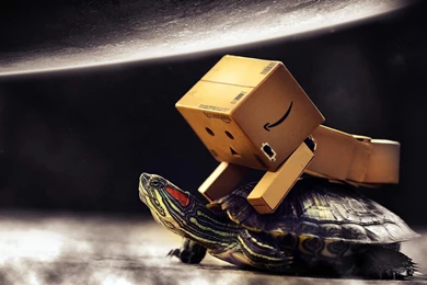 Danboard Box Man And Baby Turtle Wallpapers HD / Desktop And ...