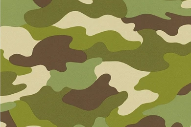 Army Colour Wallpapers   Wallpapers Zone
