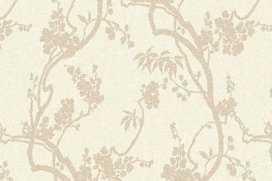 Wallpapers Cream 2015   Grasscloth Wallpapers