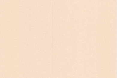 Latest Sanctuary Cream Wallpapers Designer Wallcovering Designer HD ...