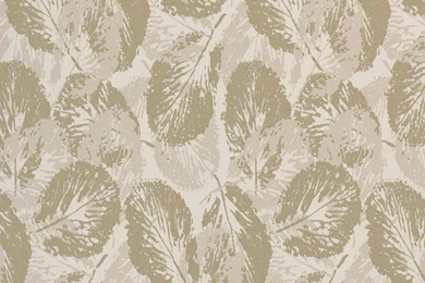 Cream Wallpaper, Black & Cream Wallpaper, Cream Damask Wallpapers