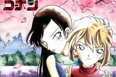 Detective Conan Wallpapers (Page 12)