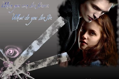 Free Twilight Wallpapers   Wallpapers Cave