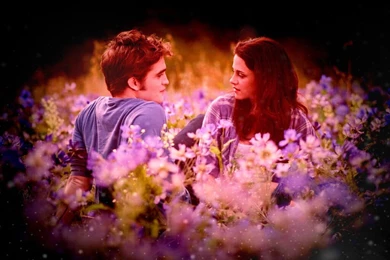 High Definition Wallpapers: Twilight Breaking Dawn Part Two Wallpapers