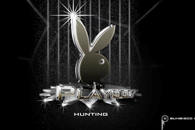 USWAZI TALENTED: Playboy Wallpapers