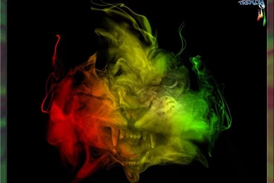 Gambar Rasta Bob Marley Lion With Resolution Wallpapers