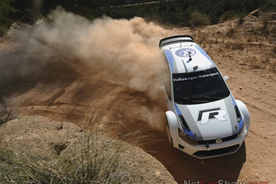 Volkswagen Volkswagen Polo R WRC Picture