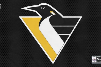 Pittsburgh Penguins Backgrounds   Wallpapers Cave